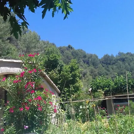 Le Frangipanier * Le Barroux