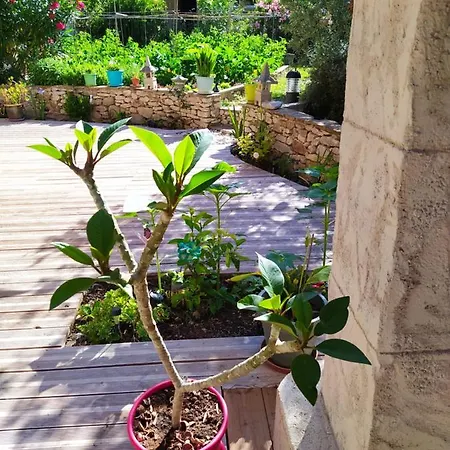 Le Frangipanier Casa de hóspedes Le Barroux