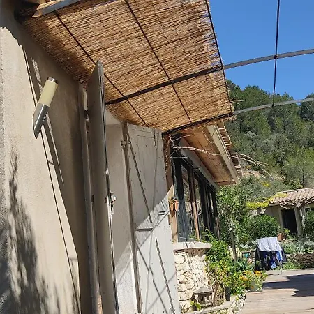 Le Frangipanier *