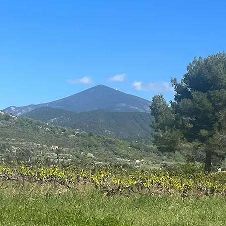 Le Frangipanier Le Barroux
