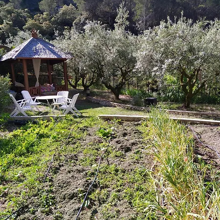 Casa de hóspedes Le Frangipanier