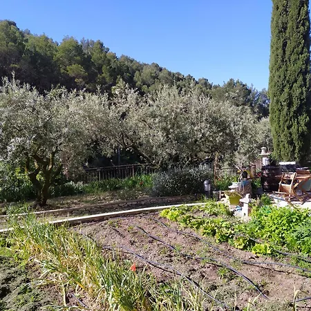 Le Frangipanier Le Barroux